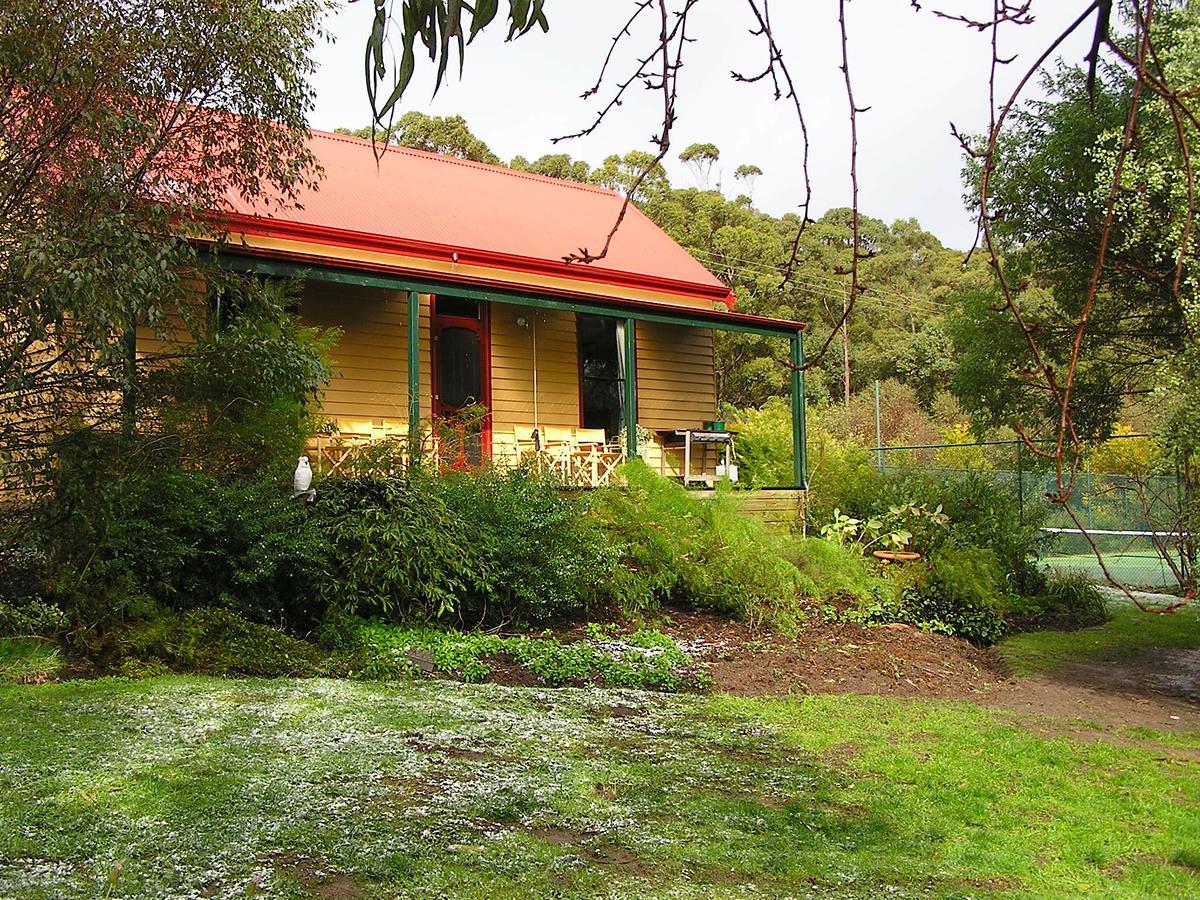 Lemonade Creek Cottages Lorne Exterior photo