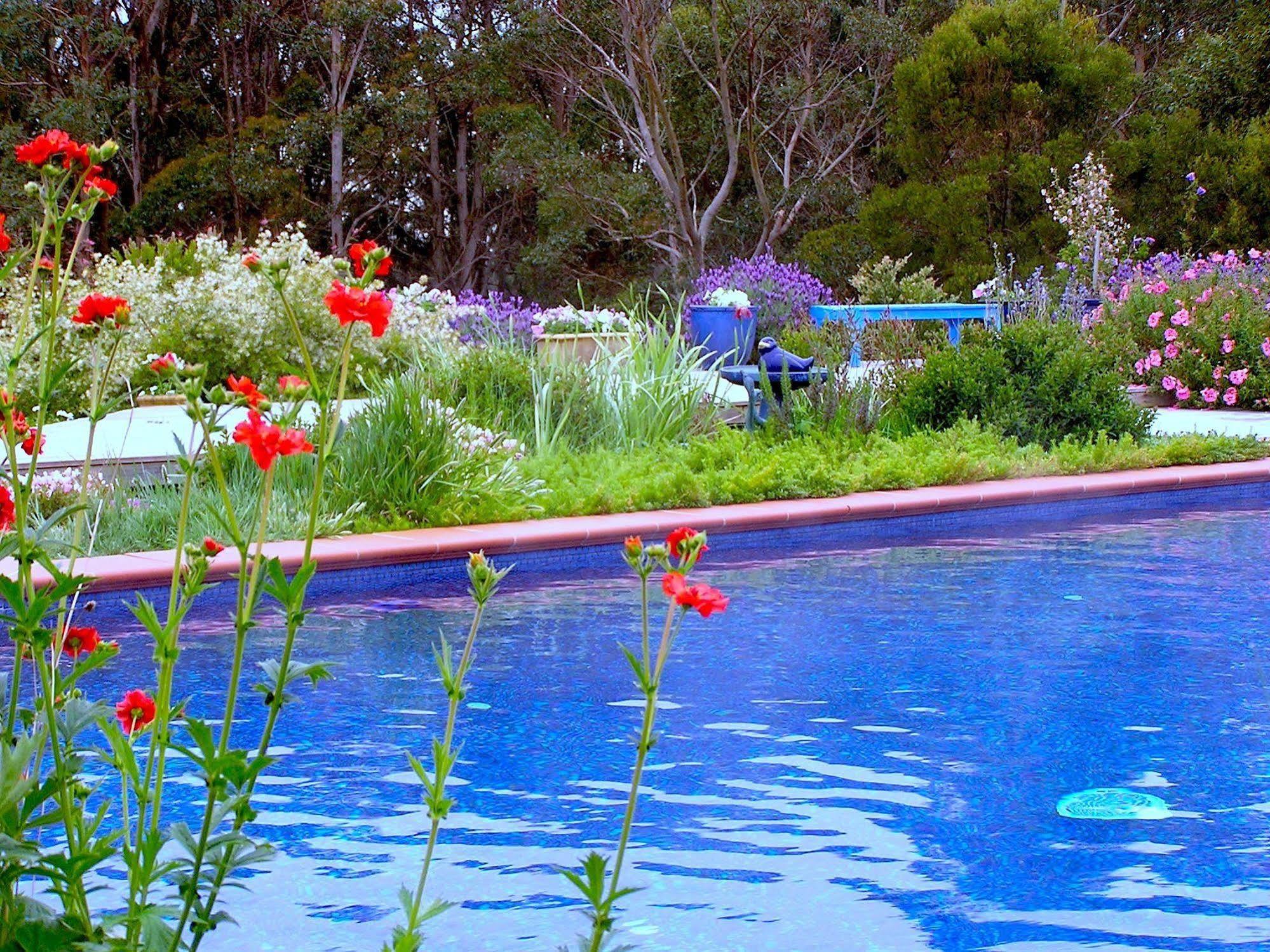 Lemonade Creek Cottages Lorne Exterior photo